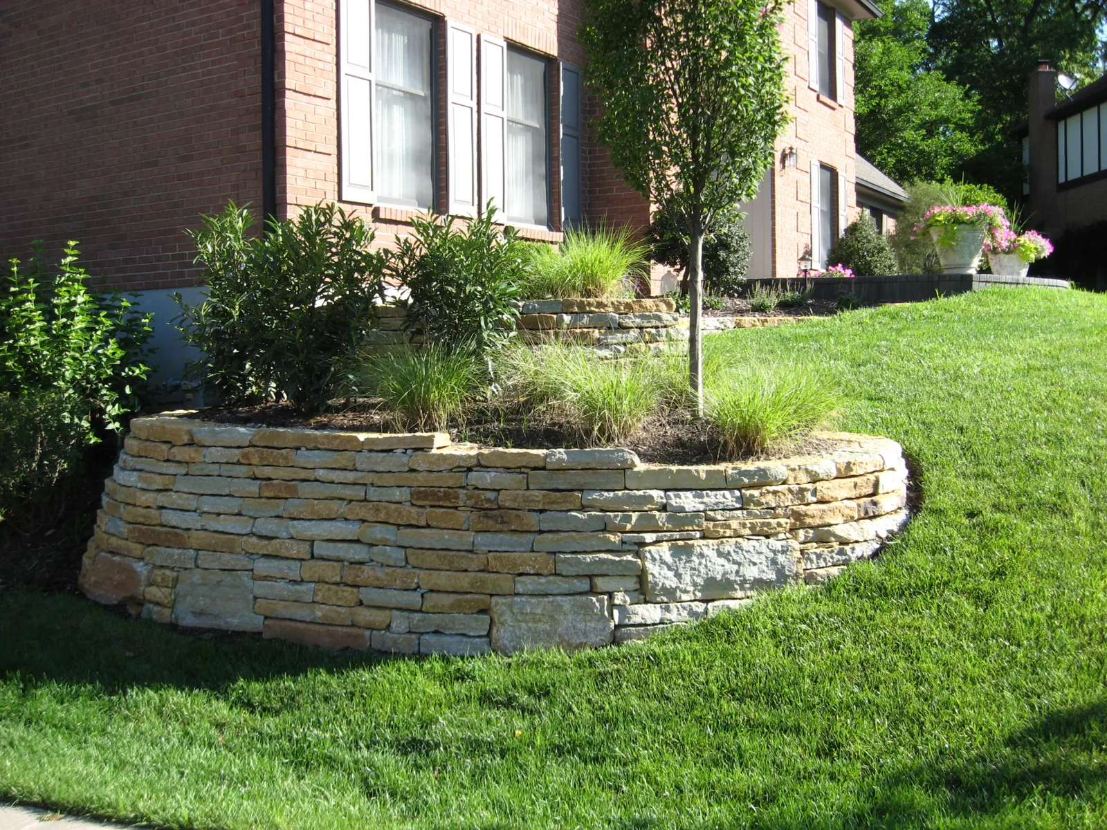 Curved stacked limestone raised bed with shrubs and an ornamental tree