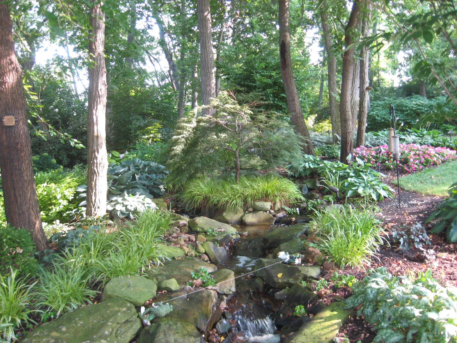 Natural stone stream winding through shade plantings and Japanese maple