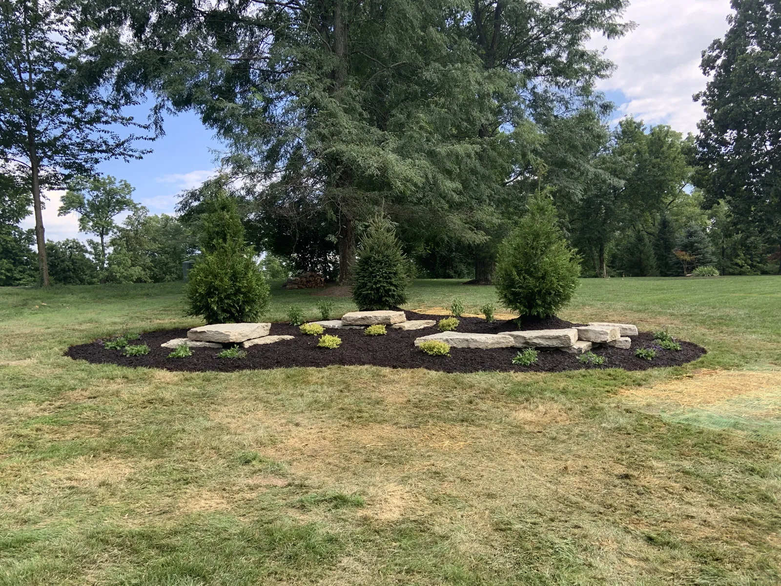 Island bed with boulders and evergreens in an open lawn