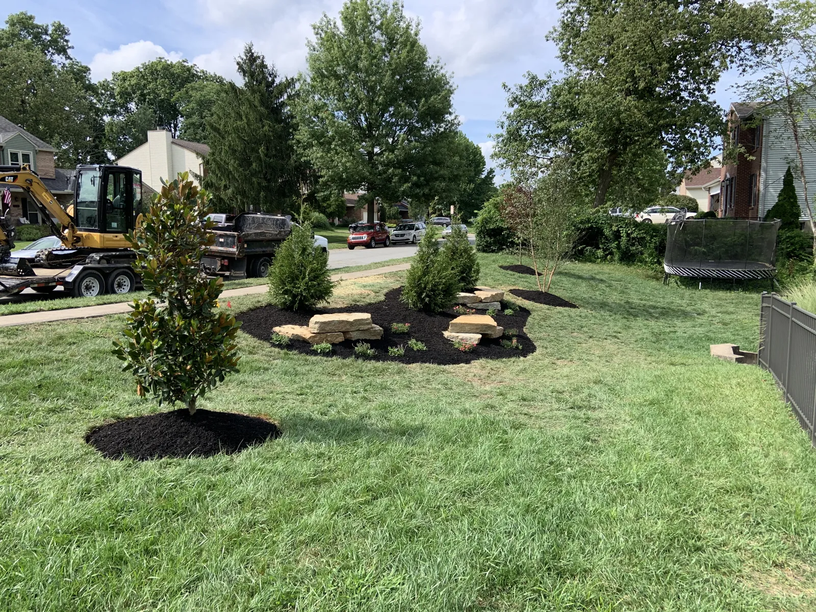 Newly planted magnolia and boulder bed in a front yard