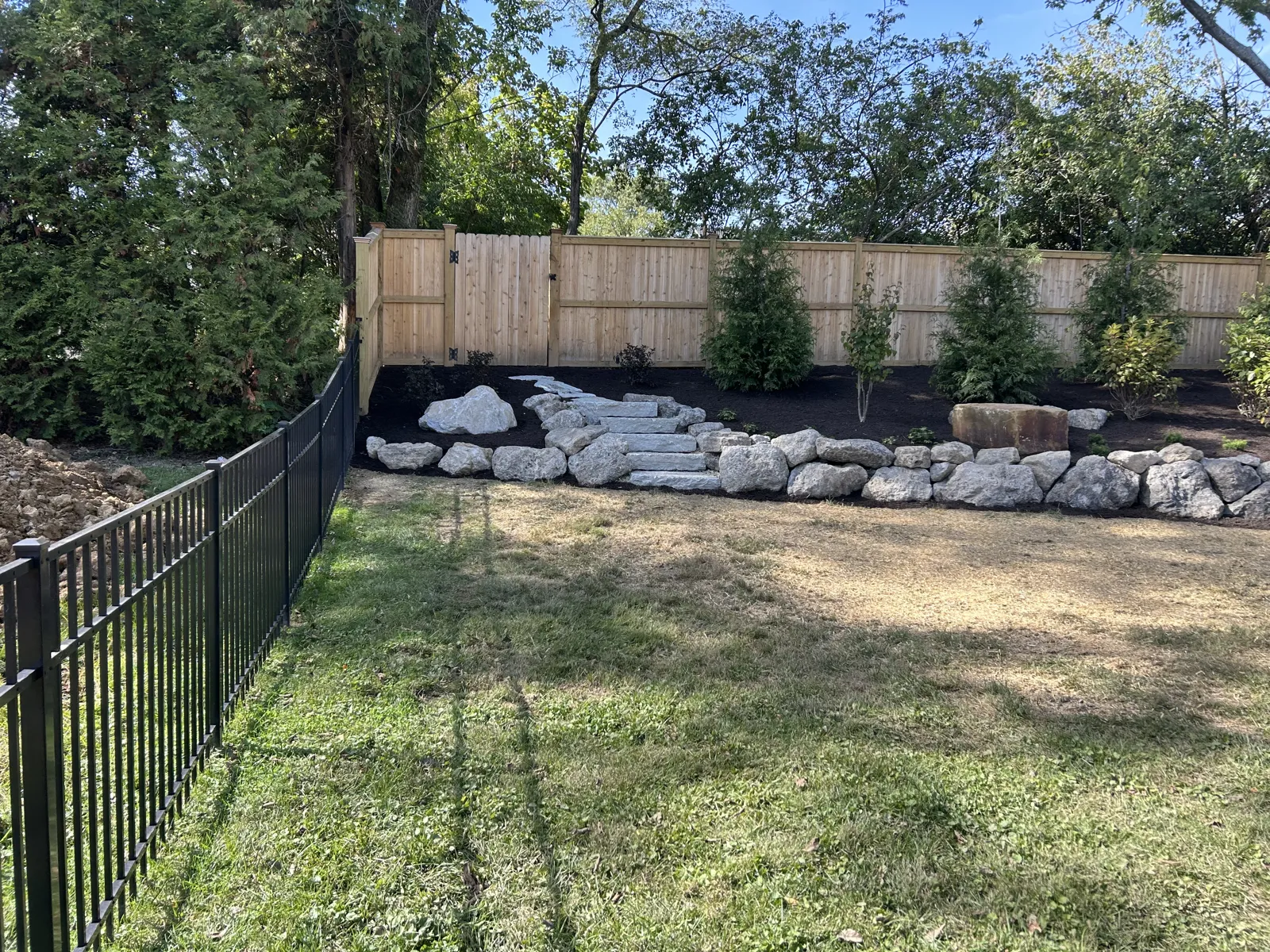 Boulder border with evergreens along a backyard fence