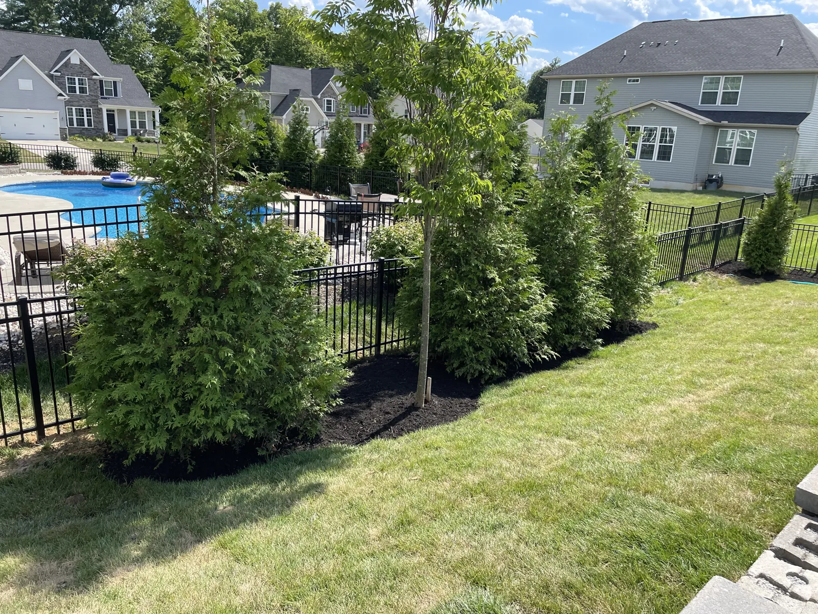 Layered evergreens and shrubs beside a pool fence